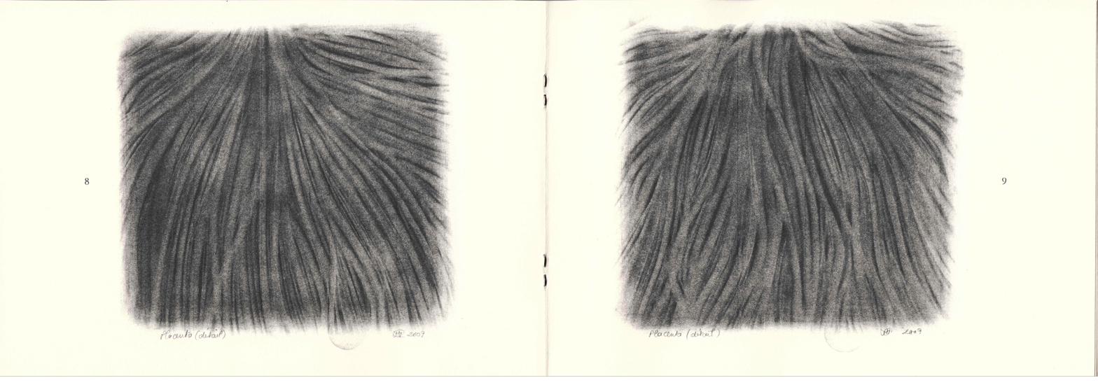 9 placentas - intérieur