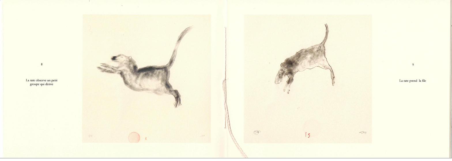 La rate - intérieur